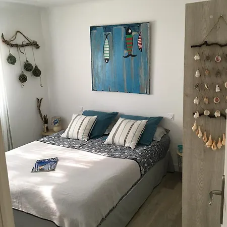 Villa Les Tamaris D'audenge *